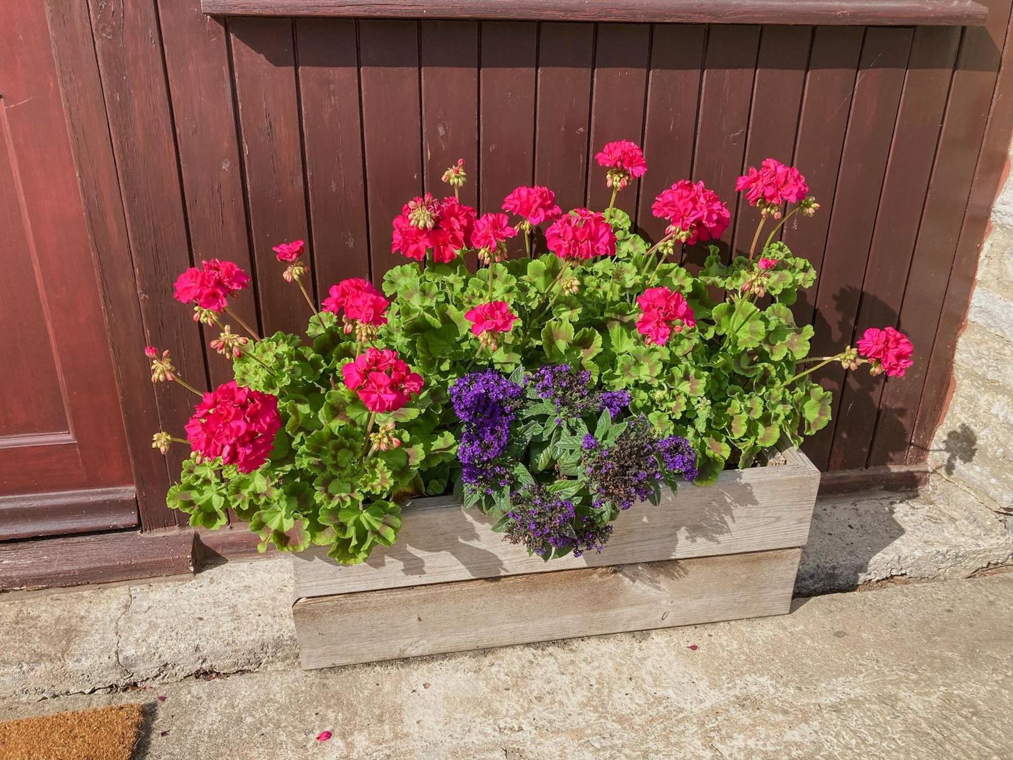 Bee Cottage East Lydford Esterno foto